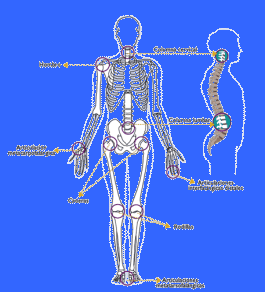 Terapia del dolor - Bioética